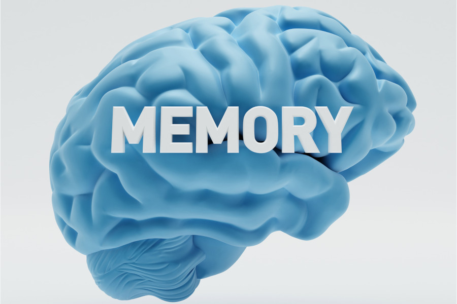 Jak działa pamięć?